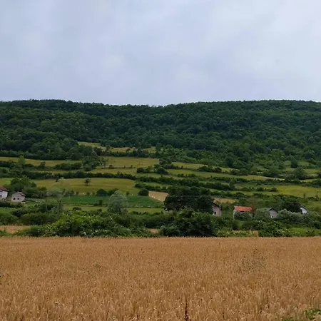 Demirovic * Orašac